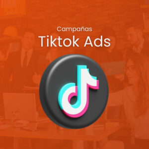 TikTok Ads